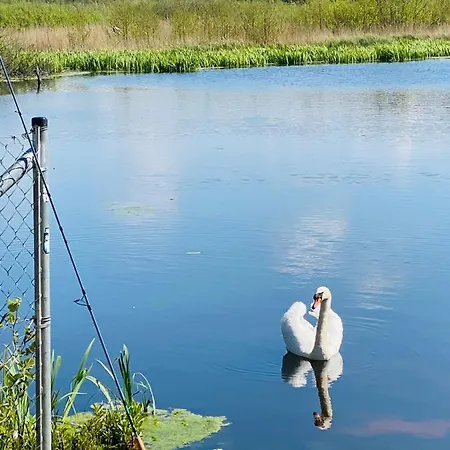 בקתה Komfortowe Dar *