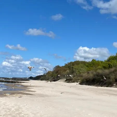 Komfortowe Dar *