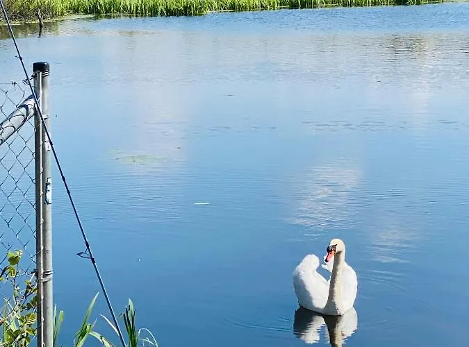 Domek alpejski Komfortowe Dar *