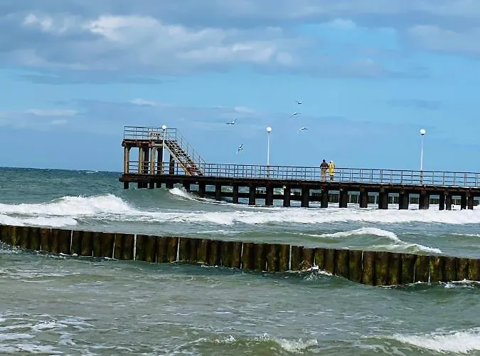 Komfortowe Dar Domek alpejski Sianożęty